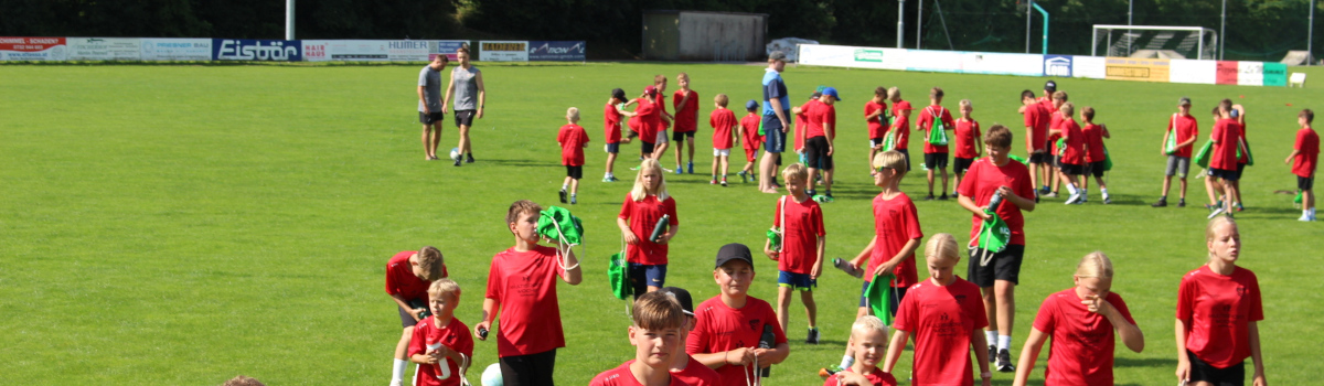 Tennisball Tennis Tennisball